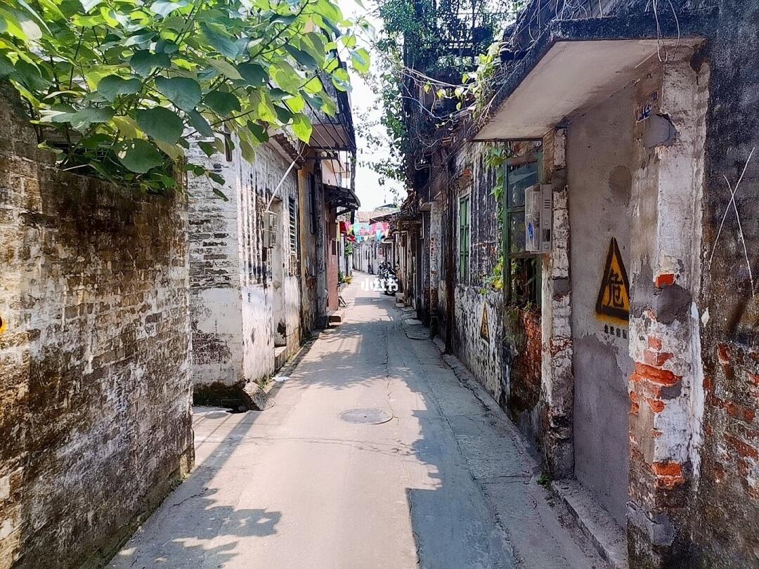 顺德五沙幼小路在那