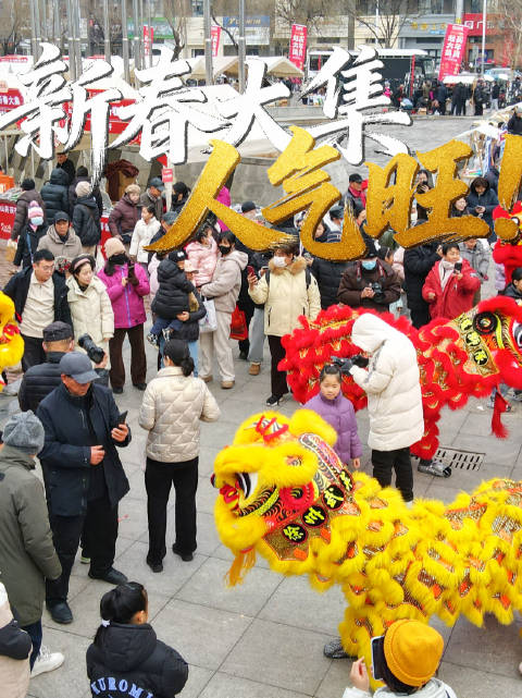 南阳大活2026