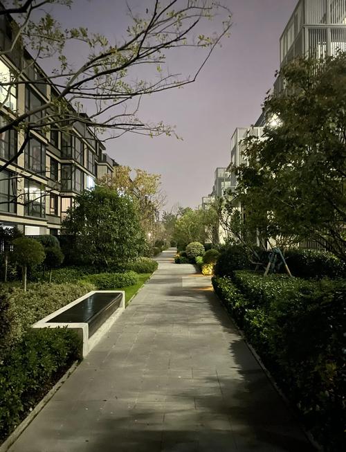 上海赵巷影戏院扑面小区巷子