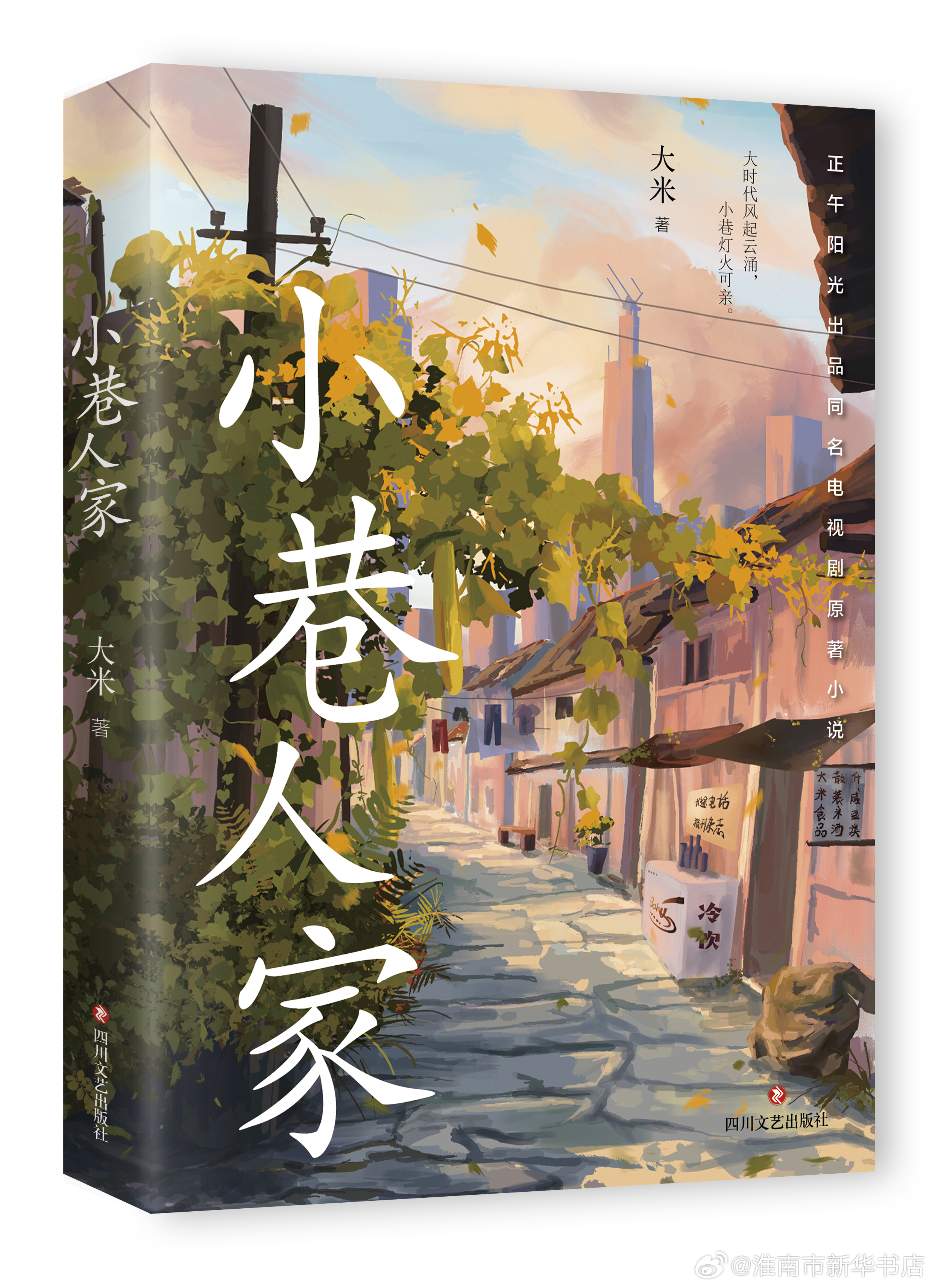 益阳哪里有站幼巷的