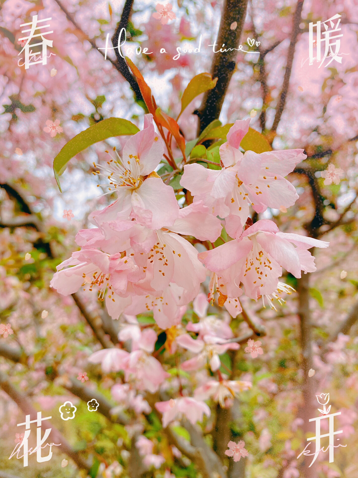 春暧花开性吧有你