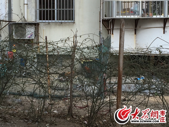 临平区鸡窝搬到哪里了啊