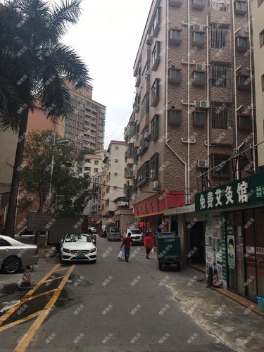 虎门镇推拿一条街在哪