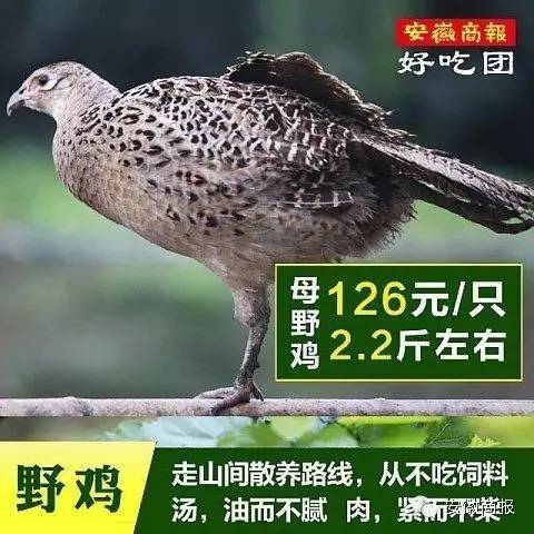 岳阳路边野鸡通常在哪条路上