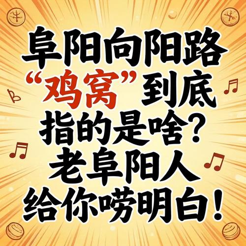 攀枝花向阳路鸡窝介绍