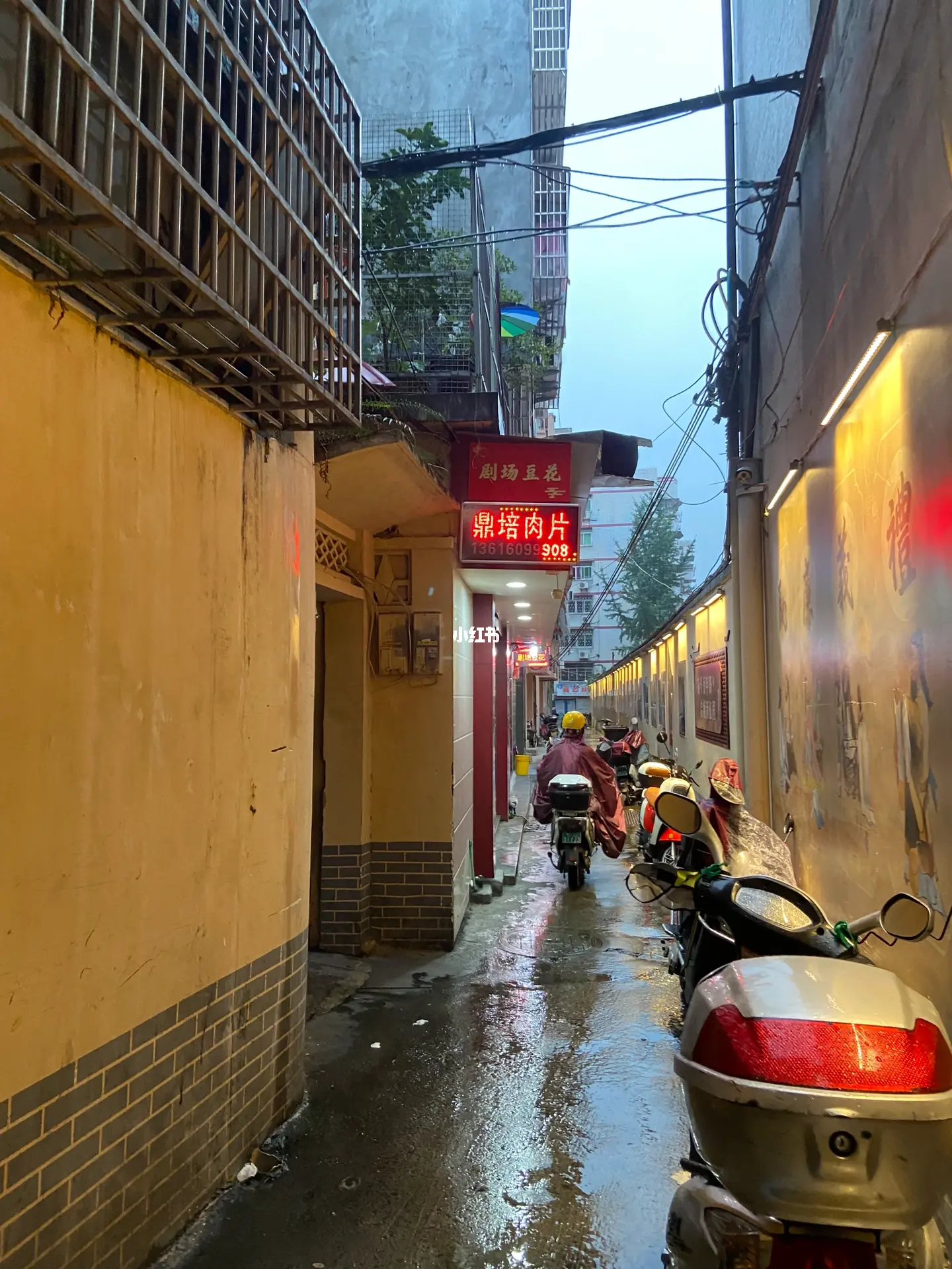 福鼎老车站对面小路叫什么