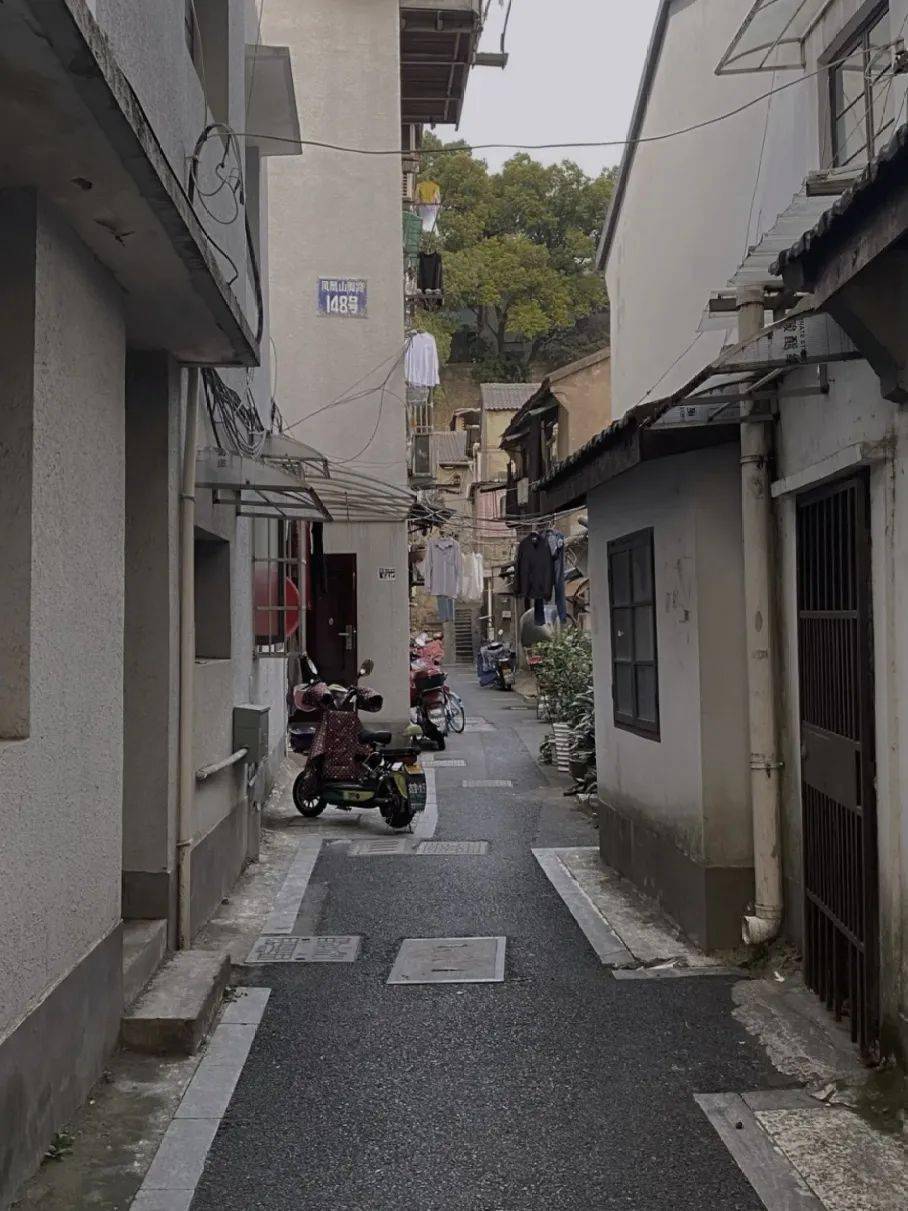 东台华联路幼小路