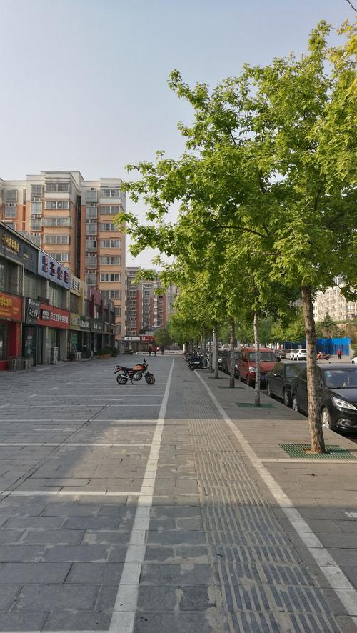 榆林学院对面的小路