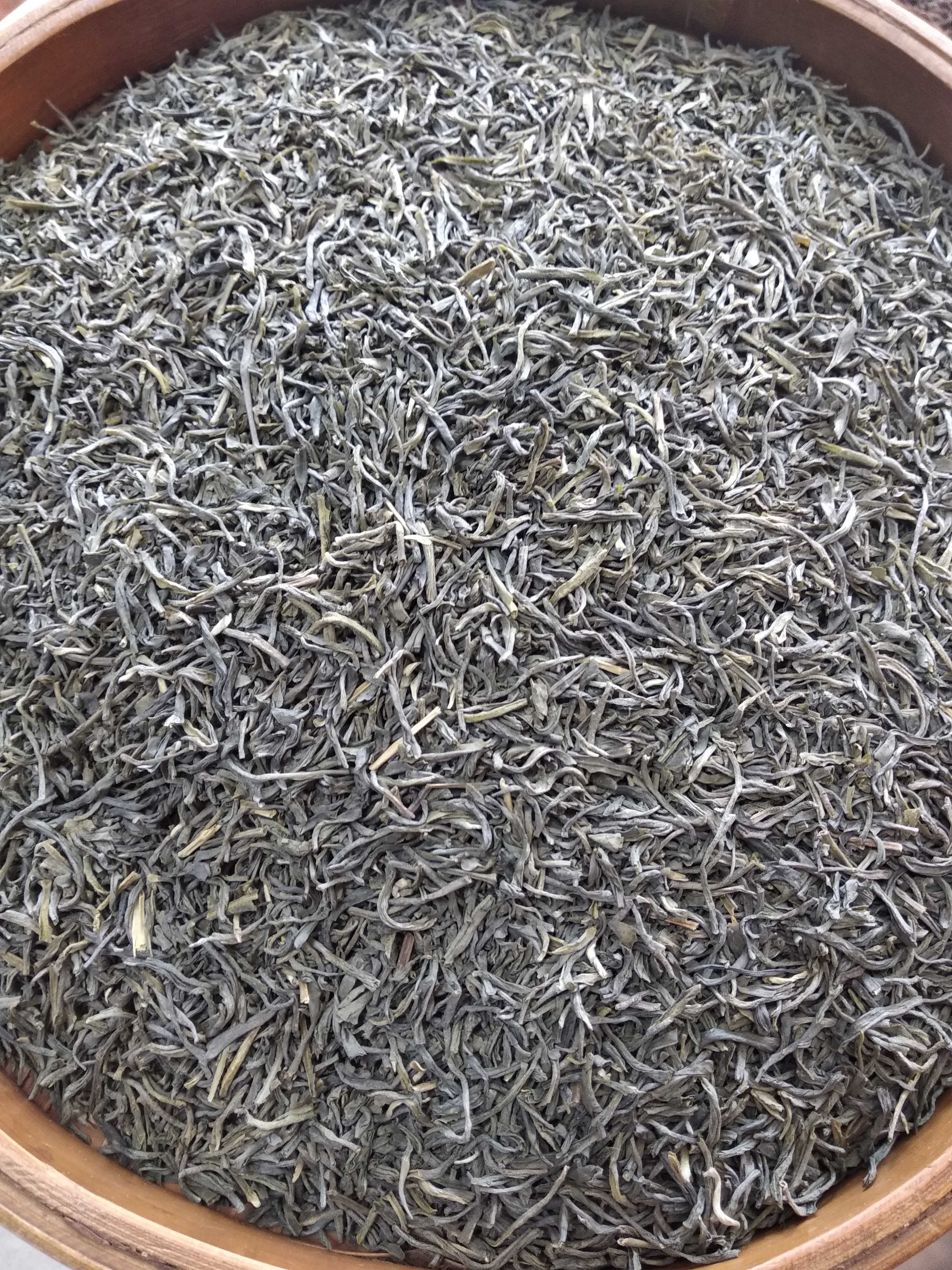 广佛98新茶