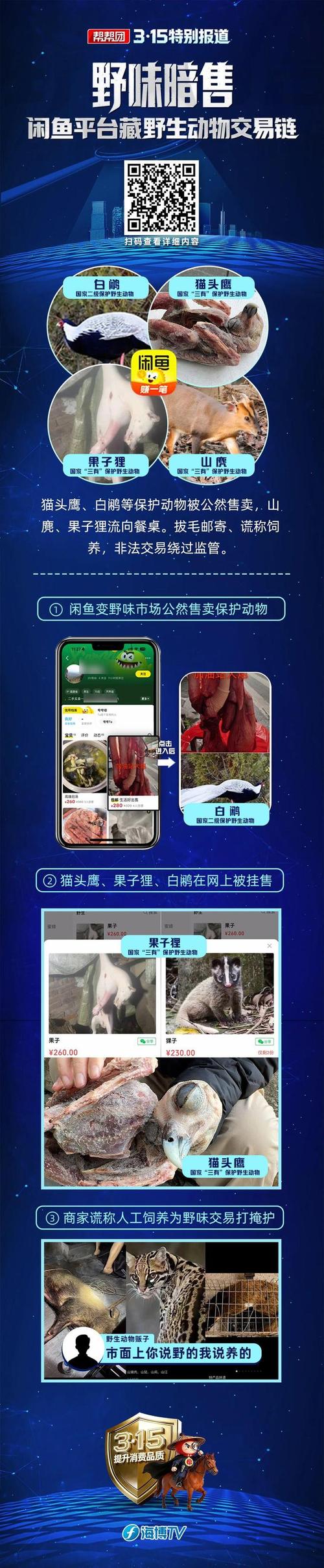 闲鱼招嫖关键词2026最新