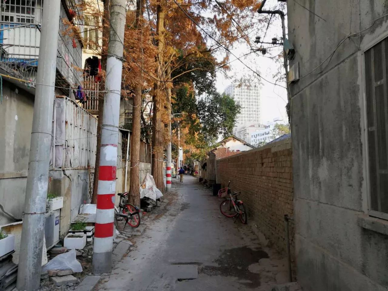 大墩江边小巷子怎么走的