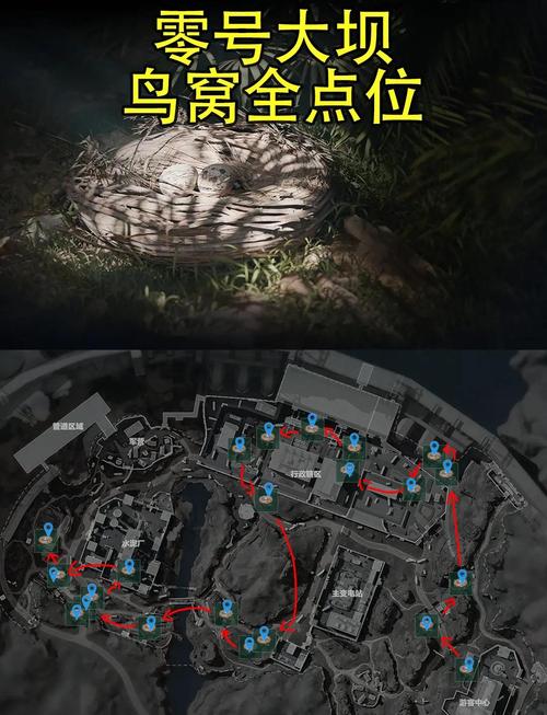 大树营鸡窝怎么走具体地位