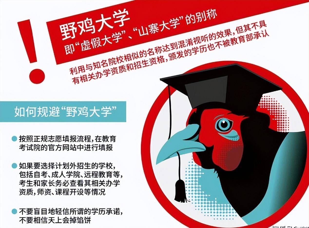 若何找到校鸡
