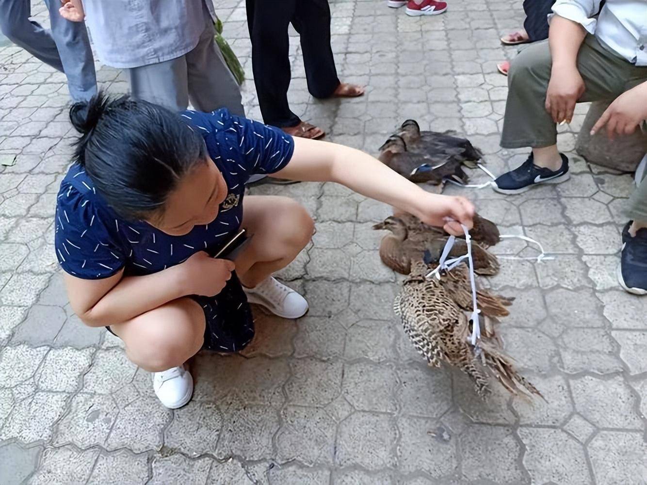 汉阳玫瑰街玩野鸡经验