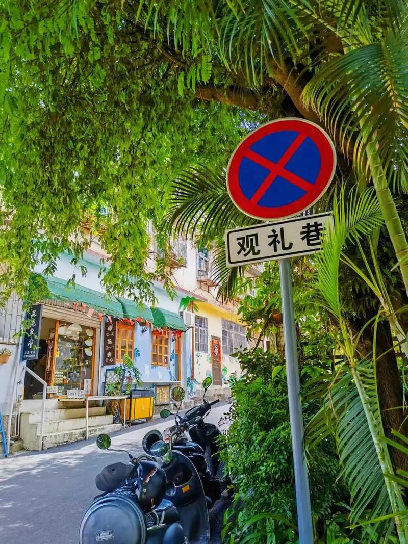 西双版纳有站小路的吗