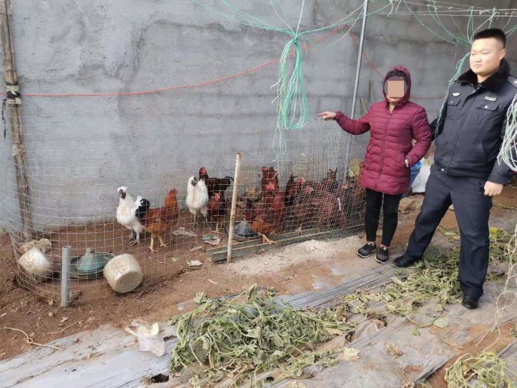 诸城北三里庄鸡窝地点和电话号码