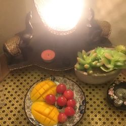 娄底男士spa荤素推荐