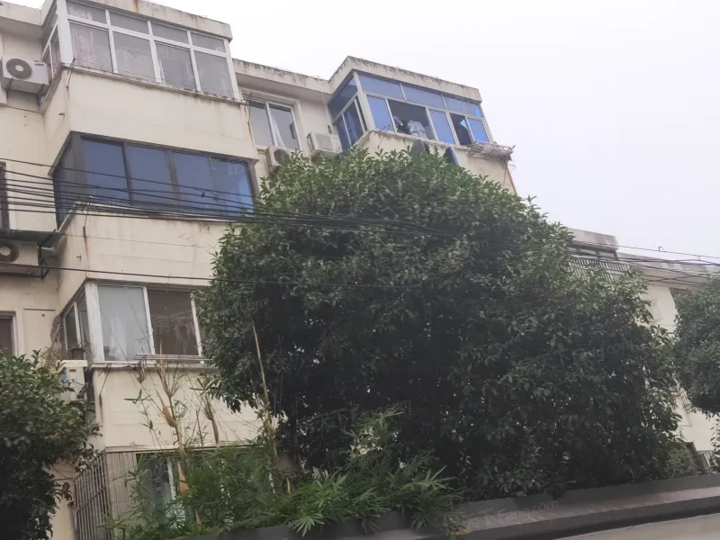 信阳联结桥幼小路