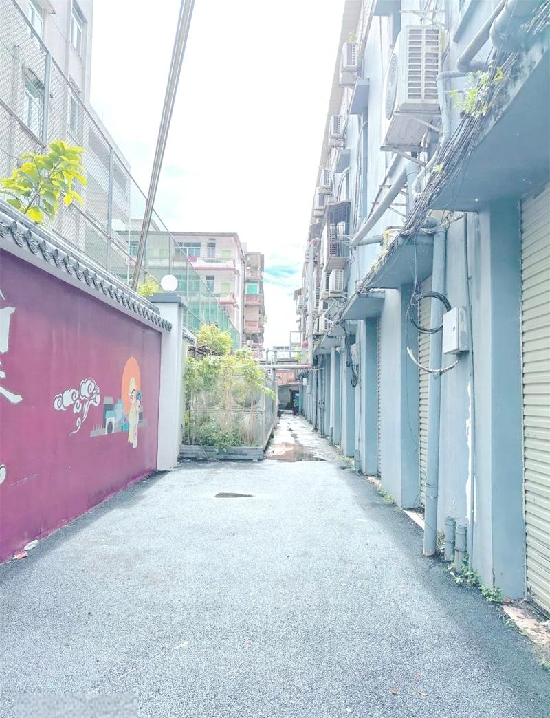 那曲幼小路里的幼惊喜