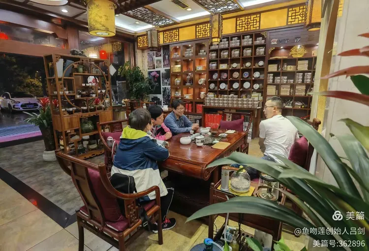 包头品茶