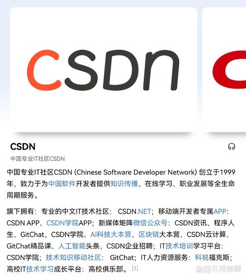 CSDN风楼阁论坛