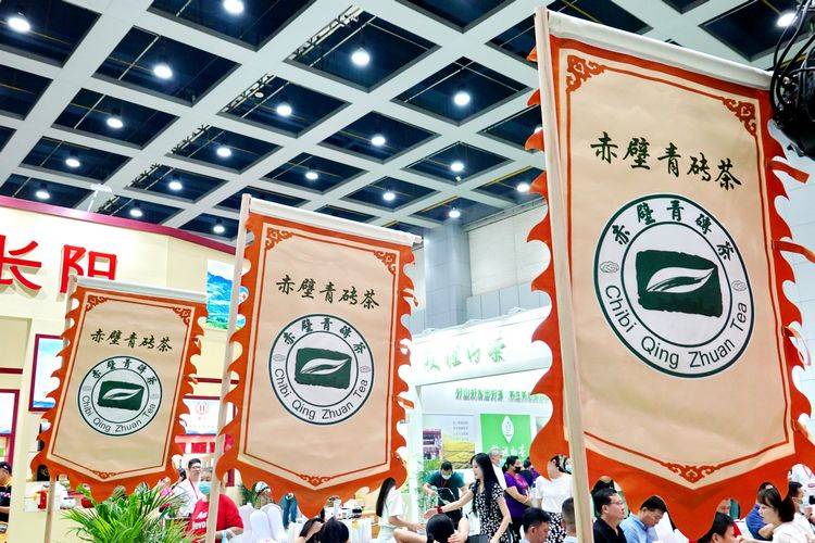 武汉品茶szsn网