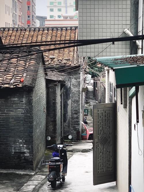 虎门惫丐幼小路最新情况