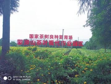 茶猴子园有站街吗