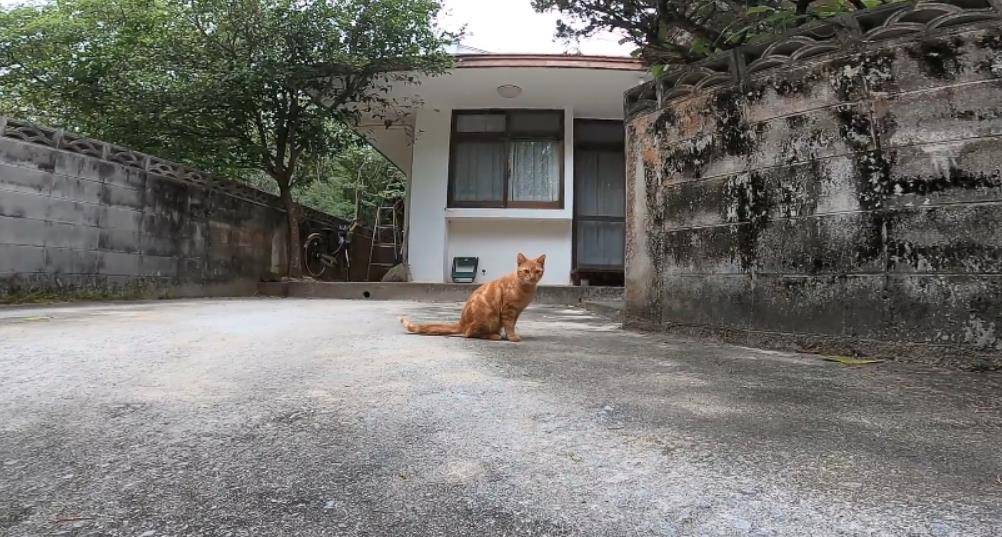 松江洞泾鸡窝在哪条街