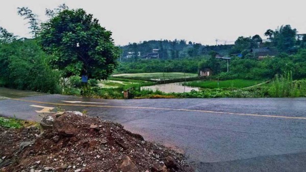 宜宾四岔路鸡窝搬哪去了