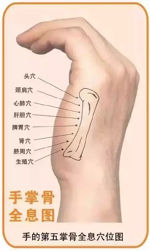 指压推拿全套还是半套