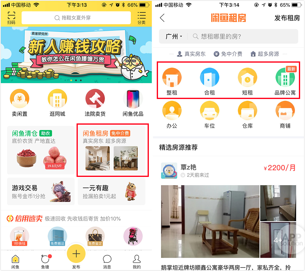 左近怎么找幼组