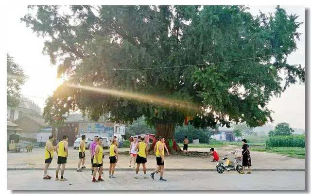 商丘约跑