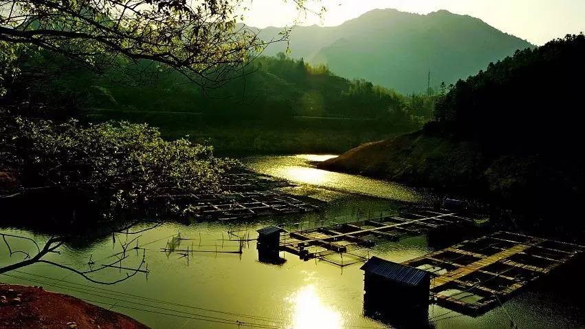 郴州白露塘周围有姐姐吗