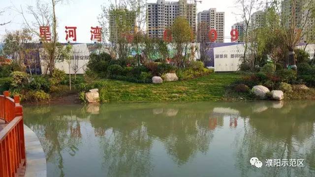 濮阳一条街150在哪里
