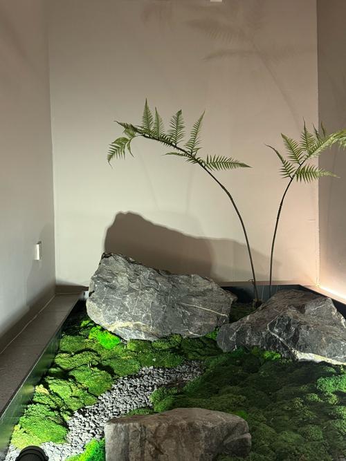 北仑东方美spa会所怎么样