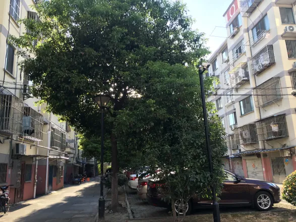 昆山陆家交谊路幼小路