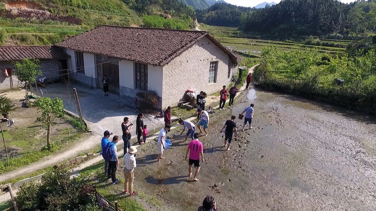 厚街汀山鸡窝搬到哪里了