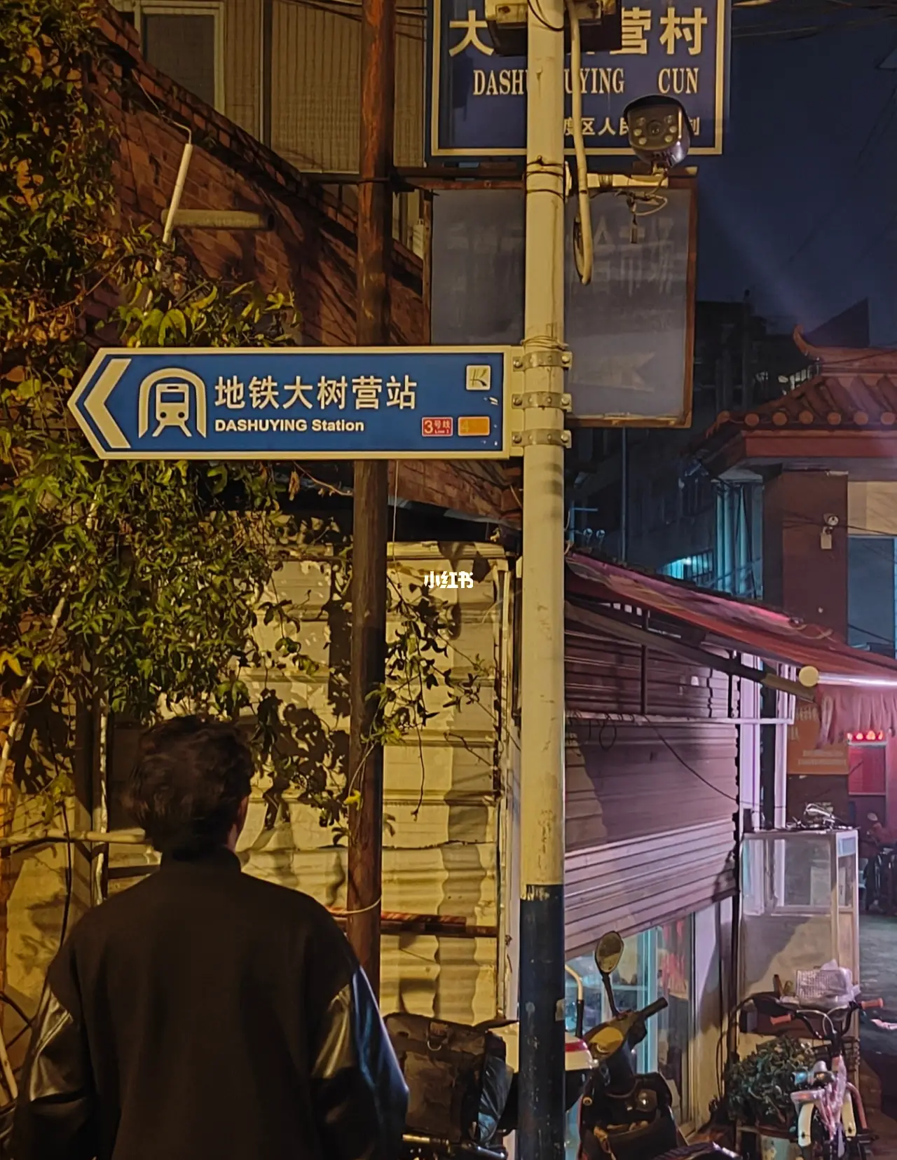 昆明大树营好玩的小路