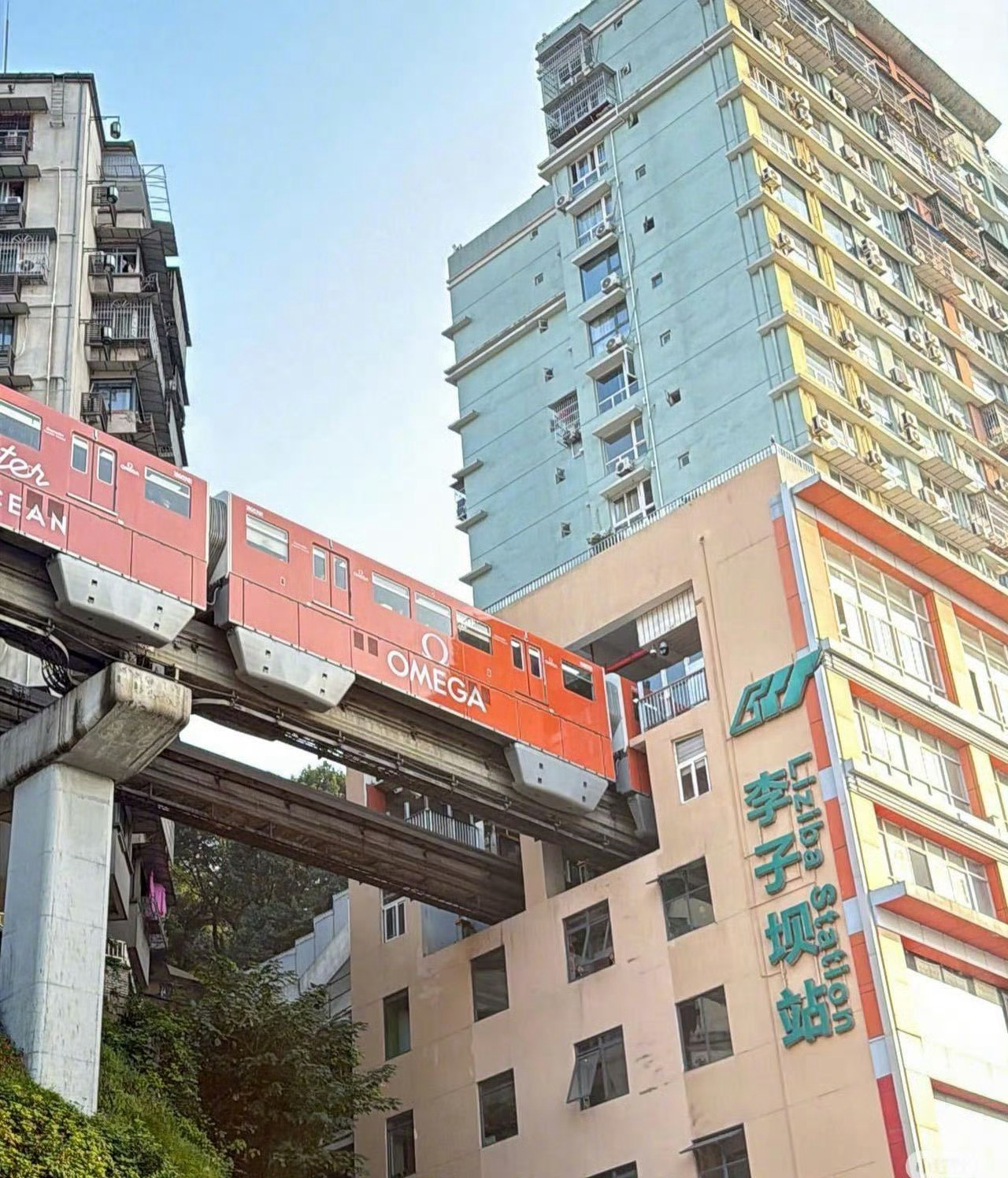 沉庆半套