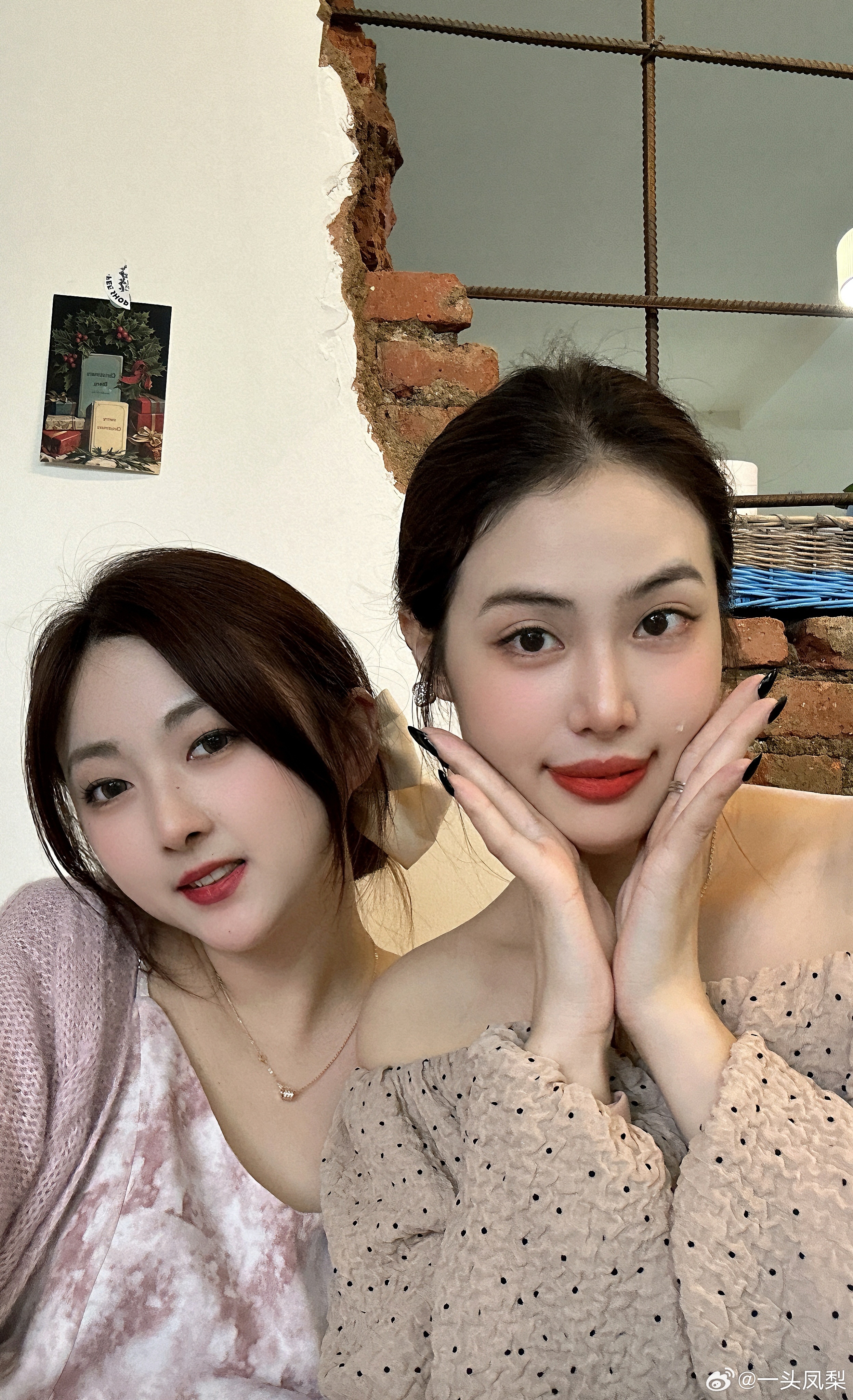 左近幼姐妹电话