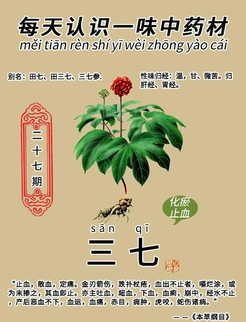 三七的隐语是啥