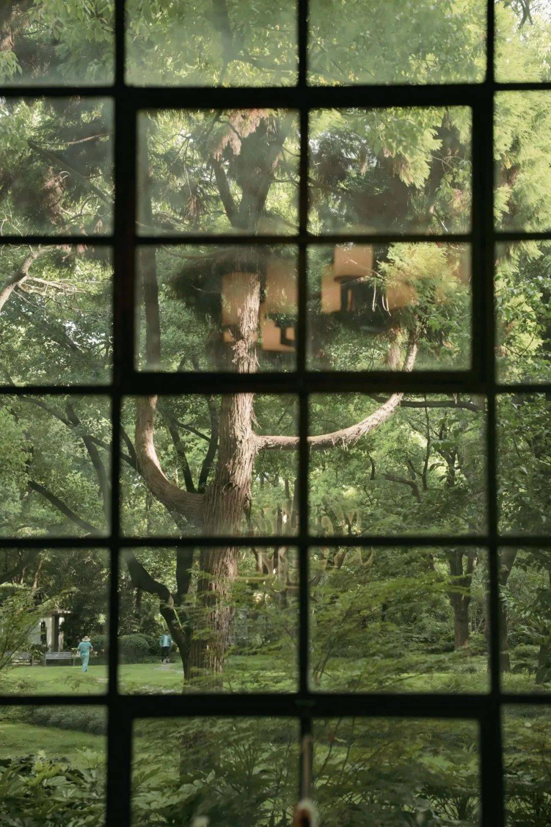 上海419魔都后花圃2026