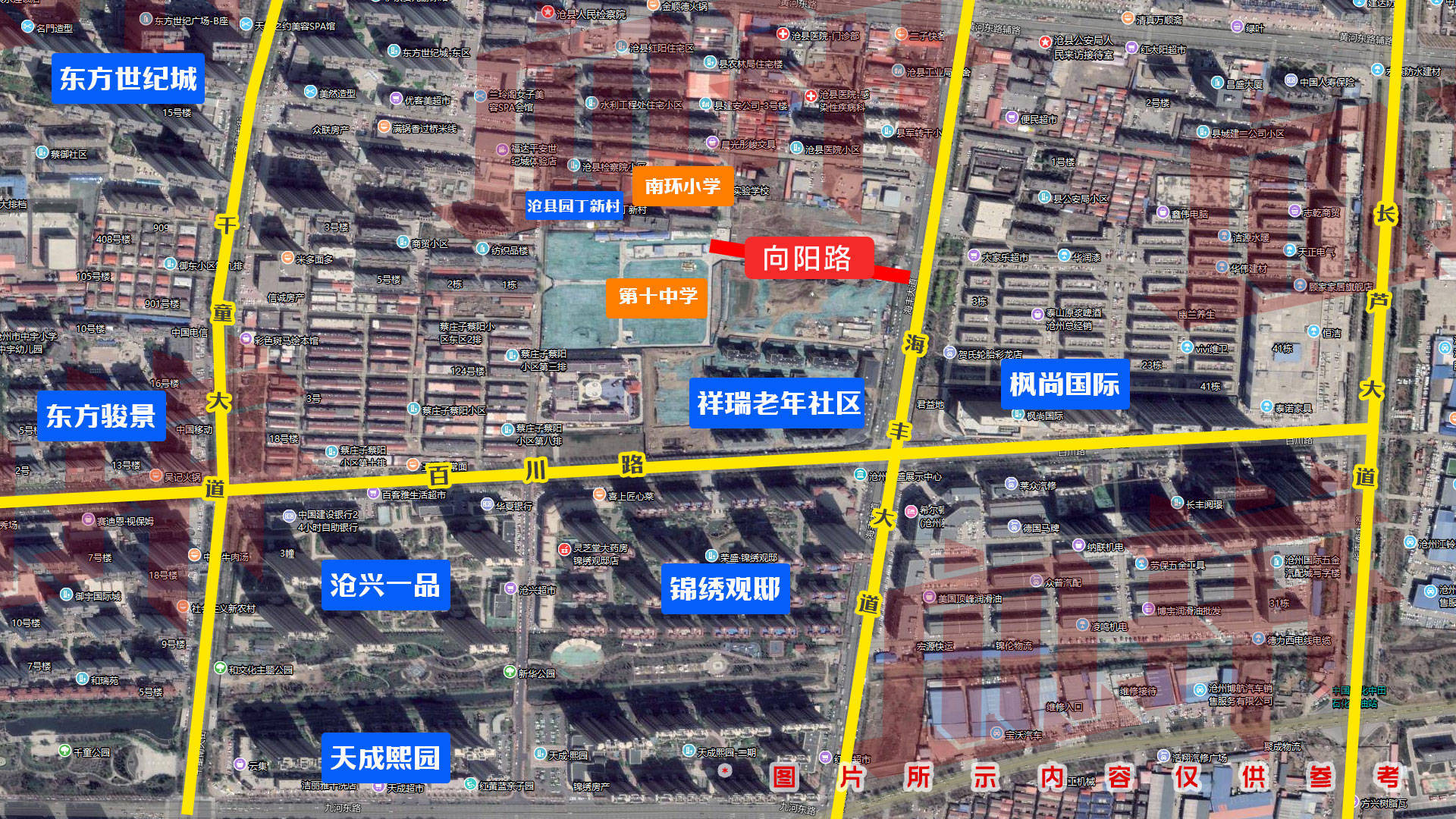 沧州鸡窝街在哪个位置