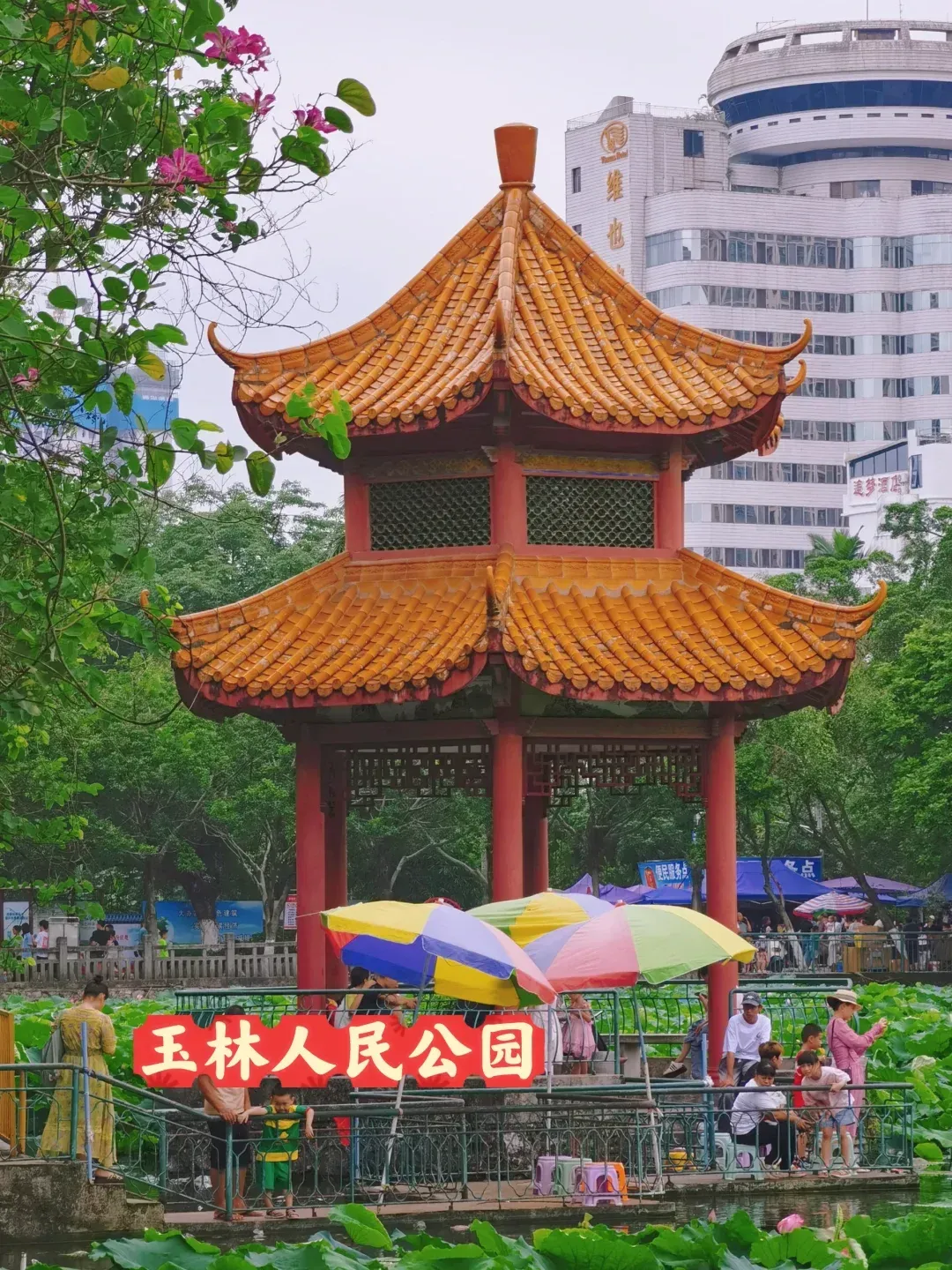 庆阳人民公园20元一次
