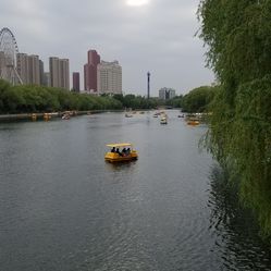 沈阳哪个公园有卖的