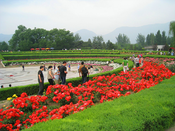 北京公园50一次