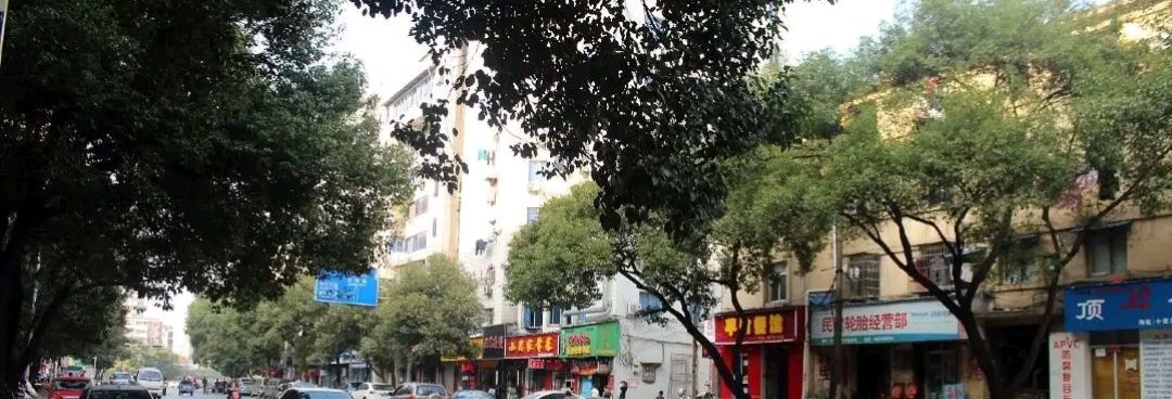 遵义两亩地150一条街叫什么
