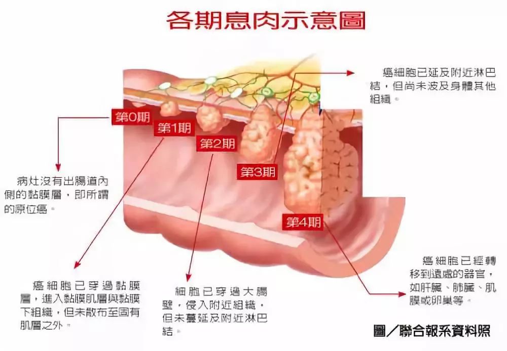 大连性息
