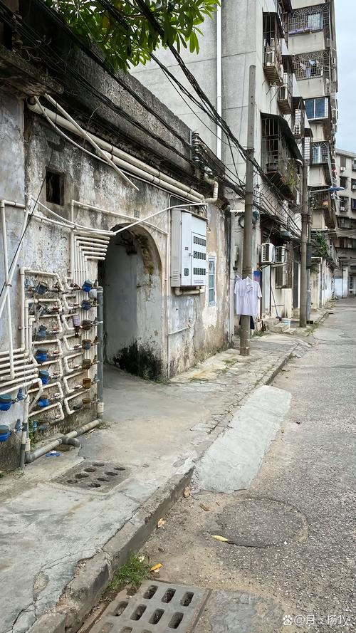 湛江卫校后面小巷子在哪